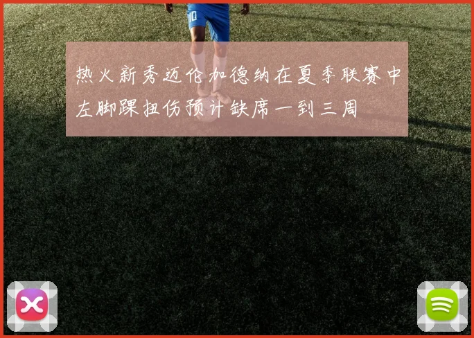 热火新秀迈伦加德纳在夏季联赛中左脚踝扭伤预计缺席一到三周